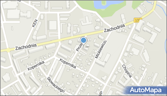 Handel Obwoźny, ul. Prusa 1B, Międzyrzecz 66-300 - Przedsiębiorstwo, Firma, NIP: 5961493555