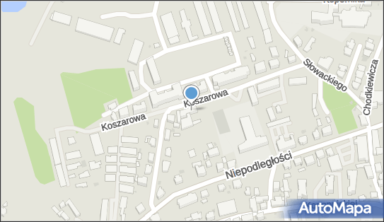 Handel Obwoźny, Koszarowa 4, Szprotawa 67-300 - Przedsiębiorstwo, Firma, NIP: 9241040916