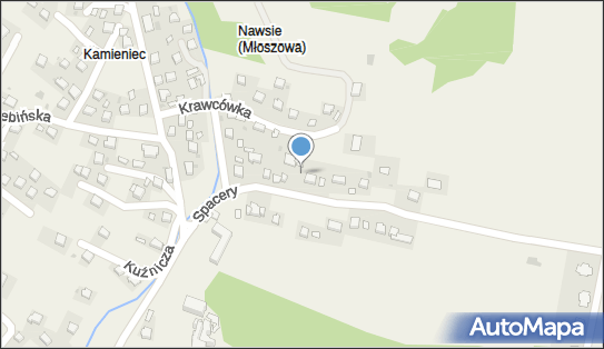 Handel Obwoźny, ul. Spacery 13, Młoszowa 32-546 - Przedsiębiorstwo, Firma, numer telefonu, NIP: 6281186688