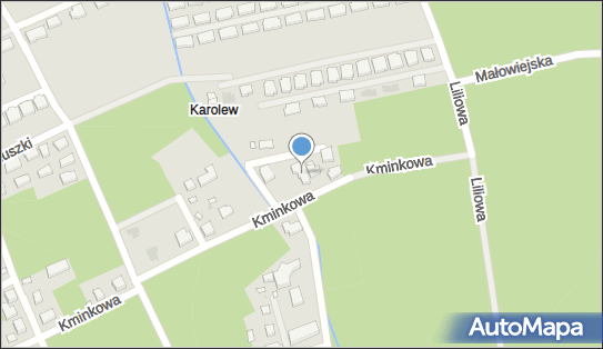 9521453884, Handel Obwoźny, Jedynak Bogusława 