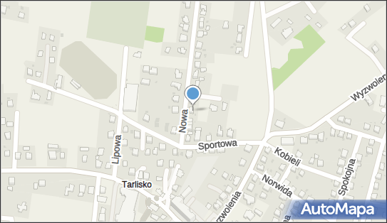 Handel Obwoźny, Nowa Osada 8, Chybie 43-520 - Przedsiębiorstwo, Firma, NIP: 5481376542