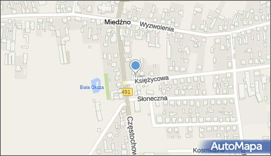 Handel Obwoźny, Księżycowa 3, Miedźno 42-120 - Przedsiębiorstwo, Firma, NIP: 5741203147