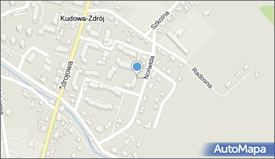 8831378314, Handel Odzież Skórzana Galanteria Skórzana Rybitwa Jan 