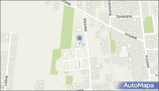 Handel Opałem w w Eko Piotr Woźny Mariusz Wiszowaty, Dłutów 95-081 - Przedsiębiorstwo, Firma, numer telefonu