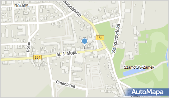 Handel Spożywczo Przemysłowy, al. 1 Maja 4, Szamotuły 64-500 - Przedsiębiorstwo, Firma, numer telefonu, NIP: 7870016218