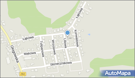 Handel Sprzętem Agd Leszek Skiba, Liliowa 3, Nowa Sól 67-100 - Przedsiębiorstwo, Firma, NIP: 9251503200