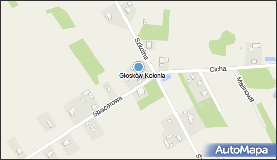 Handel Transport, Głosków 12, Głosków 08-412 - Przedsiębiorstwo, Firma, NIP: 8261277733