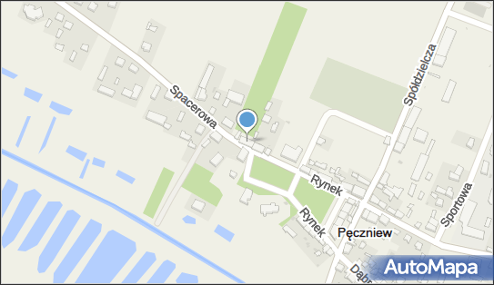 Handel, Spacerowa 2, Pęczniew 99-235 - Przedsiębiorstwo, Firma, NIP: 8281076920