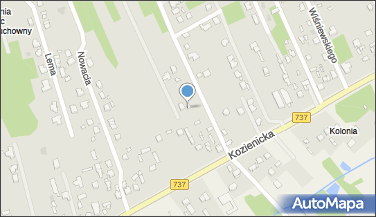 Hen Tom, ul. Kozienicka 193B, Radom 26-600 - Przedsiębiorstwo, Firma, NIP: 7962201538