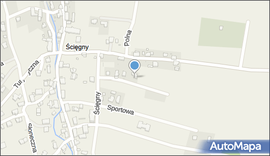 6111038463, Transport Osobowy Henryk Wyrostek 