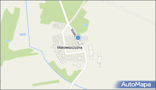 Henryka Grenich Firma Transportowo-Handlowo-Produkcyjna Ana, Wójcin 98-432 - Przedsiębiorstwo, Firma, NIP: 6191526376