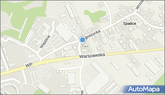 9111009428, Henryka Sokołowska Pośrednictwo Ubezpieczeniowe 