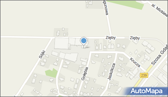 5542518523, Hirsch - Pol sp. z o.o. 