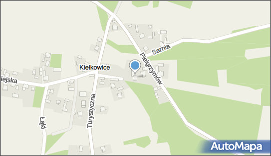 5262486414, Hodowla Berneńskich Psów Pasterski 