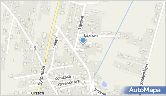 277943630, Hodowla Kotów Rasowych Macura Jerzy 