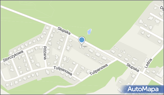 8391905211, Hodowla Lisów - Zygmunt Dziugieł 