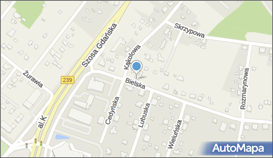 9532495159, Centrum Rehabilitacji Kinesis Jarosław Hoffman 