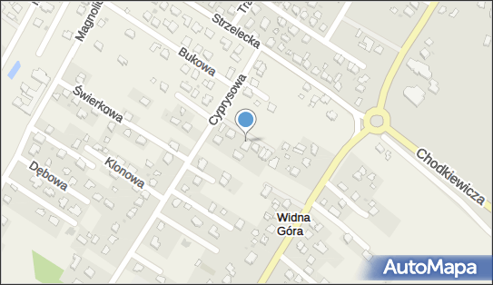 Honorata Nycz, Wierzbowa 6, Widna Góra 37-500 - Przedsiębiorstwo, Firma, NIP: 7922225886