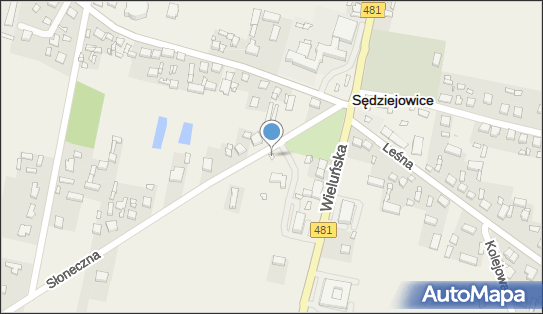 Hurt Detal Artykułami Spoż i Przem, ul. Słoneczna 3 98-160 - Przedsiębiorstwo, Firma, numer telefonu, NIP: 8310000116