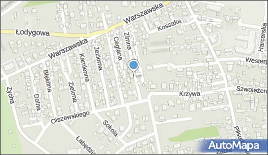 Hurtownia Art Spożywczych i Przemysłowych Export Import, Zimna 10 05-091 - Przedsiębiorstwo, Firma, NIP: 1250994947