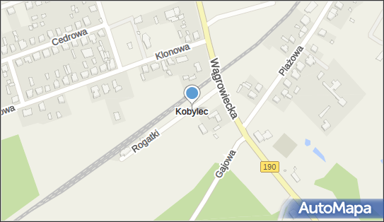 Hurtownia Art Spożywczych, Kobylec 79, Kobylec 62-100 - Przedsiębiorstwo, Firma, NIP: 7660008572