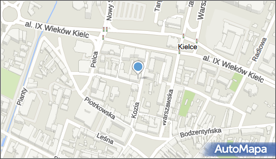 Hurtownia Kwiatów i Art Przemysłowych Amal Hamarneh Fuad, Kielce 25-515 - Przedsiębiorstwo, Firma, NIP: 6772063073