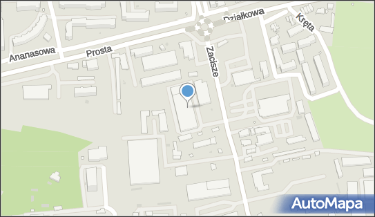9291125218, Hurtownia Kwiatów Wioletta Kutrowska 