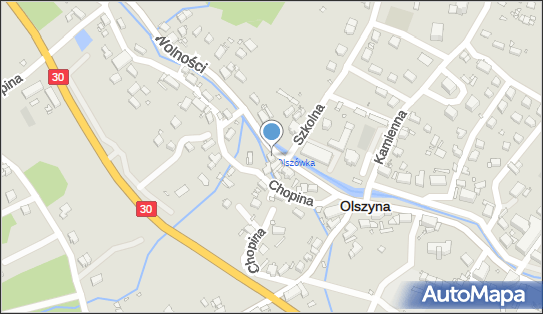 Hurtownia Mięsa i Wędlin, Wolności 41, Olszyna 59-830 - Przedsiębiorstwo, Firma, numer telefonu, NIP: 6131199301