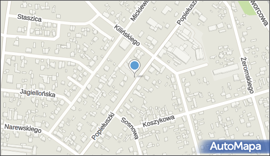 Hurtownia Warzyw i Owoców Przetworów Owocowych i Warzywnych 97-200 - Przedsiębiorstwo, Firma, NIP: 7731099465