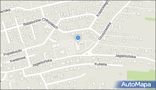 Huy Long Nguyen, Jagiellońska 39b, Dąbrowa Tarnowska 33-200 - Przedsiębiorstwo, Firma, NIP: 8711728007
