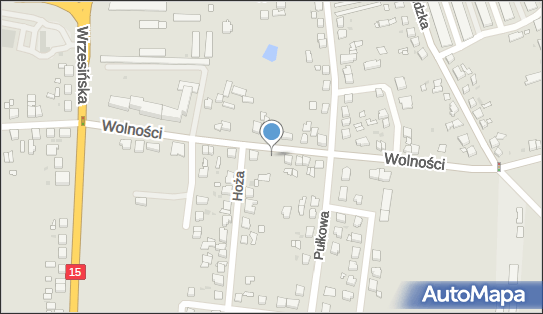 Hydro-Spec-Instal, Wolności 16, Gniezno 62-200 - Przedsiębiorstwo, Firma, NIP: 7841847187