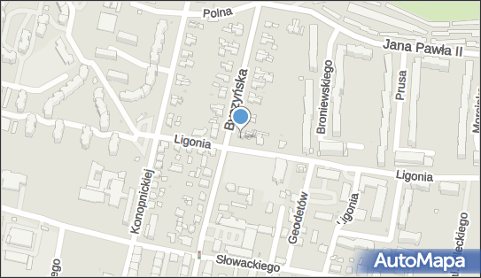 530753947, Adamczuk Eleonora i Arnold 