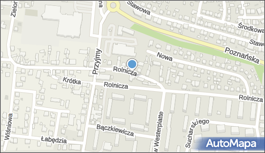 6991030168, Kindrasiuk Violetta Kwiaty i Upominki 