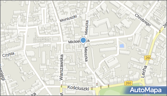 Ibiza Group, Mieszka I 38, Gniezno 62-200 - Przedsiębiorstwo, Firma, numer telefonu, NIP: 6671196708