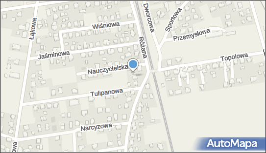 iBrain Damian Rost, Różana 20, Żelistrzewo 84-122 - Przedsiębiorstwo, Firma, NIP: 5871713237