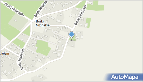 Ikon@ Iwona Łaz, Borki Nizińskie 111, Borki Nizińskie 39-307 - Przedsiębiorstwo, Firma, NIP: 8171894445