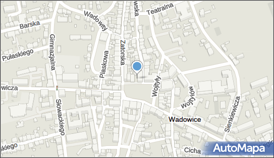 Ilona Czarny, pl. Jana Pawła II 21, Wadowice 34-100 - Przedsiębiorstwo, Firma, NIP: 5512178502
