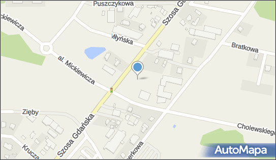5541235154, Imbiss Istanbul Jerzy Turowski 