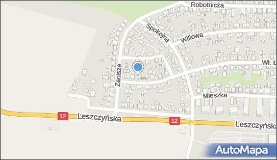 6961051272, Import Oraz Pośrednictwo w Sprzedaży Samochodów Używanych Arleta Kubacka, Gostyń 