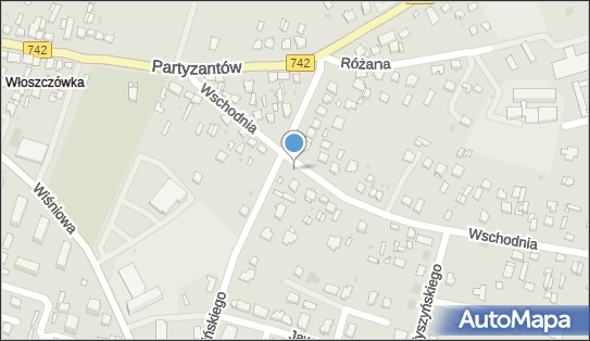 290863609, P.H.U.
