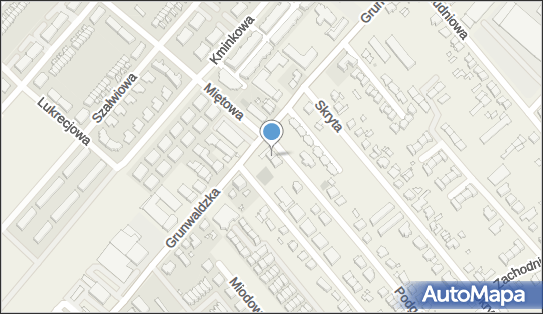 Indygo, ul. Podgórna 2, Plewiska 62-064 - Przedsiębiorstwo, Firma, NIP: 6171637635