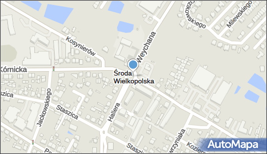 302694687, Indywidualna Praktyka Lekarska Agnieszka Sobkowiak-Sobierajska 