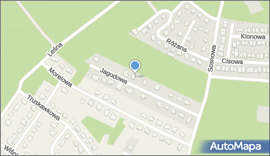 Indywidualna Praktyka Lekarska Danuta Krupa, ul. Jagodowa 14 87-400 - Przedsiębiorstwo, Firma, NIP: 8781114753