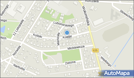 1251487282, Indywidualna Praktyka Lekarska Kinga Kozioł-Wójcik 