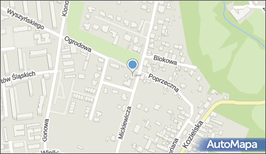 Indywidualna Praktyka Lekarska Lek Stom, ul. Adama Mickiewicza 12 47-100 - Przedsiębiorstwo, Firma, NIP: 7561774151