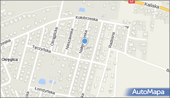 Indywidualna Praktyka Lekarska Lek, Nałęczowska 14, Kalisz 62-800 - Przedsiębiorstwo, Firma, NIP: 6181830919