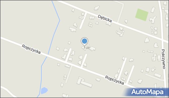 Indywidualna Praktyka Lekarska Przemysław Lebioda, Ropczycka 26 61-316 - Przedsiębiorstwo, Firma, NIP: 7781382080