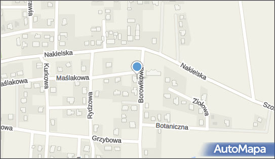 5541260755, Indywidualna Praktyka Lekarska Issa Fares 