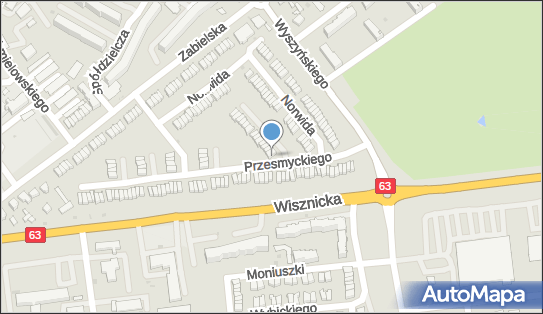 Indywidualna Praktyka Lekarska, ul. Zenona Przesmyckiego 6 21-315 - Przedsiębiorstwo, Firma, NIP: 5381236505