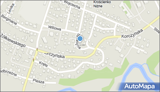 6841842752, Specjalistyczna Praktyka Lekarska Dr n.Med.Rafał Fornal Specjalista Chorób Dziecięcych, Alergolog 